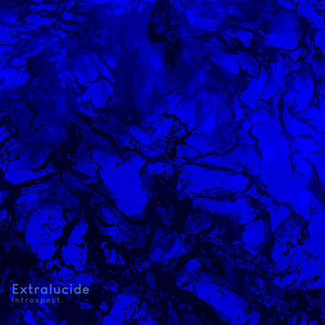 Extralucide - Introspect [2*12"]