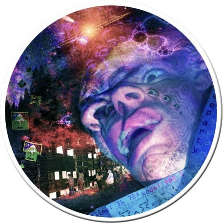 L'Hallucidité 12