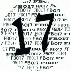 Fullbass 17