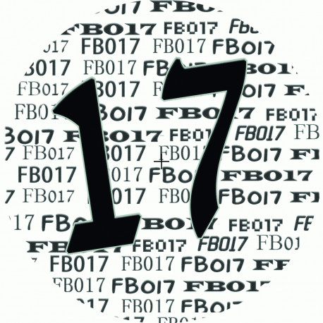Fullbass 17