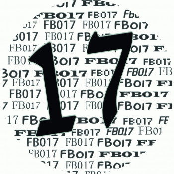 Fullbass 17
