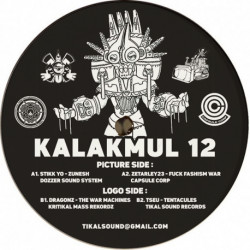 Kalakmul 12