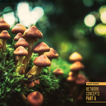 Network Concepts part 6 - Biotope 06