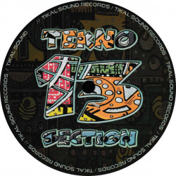 Tekno Section 13 - vinyle freetekno