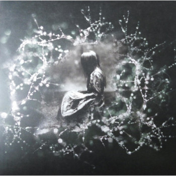 Cult Collective Black 04