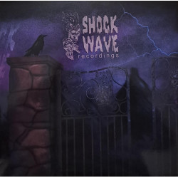 Shockwave Recordings 3333