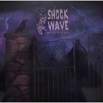 Shockwave Recordings 3333
