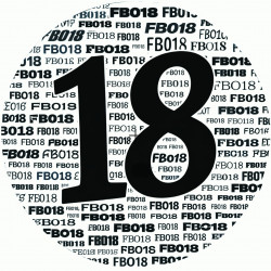 FullBass 18