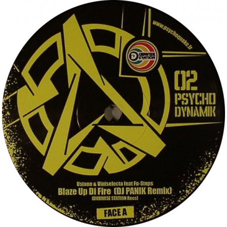 Macaron du vinyle Psycho Dynamik 02