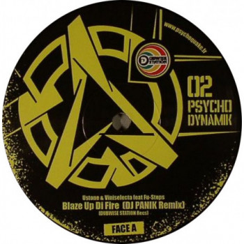 Macaron du vinyle Psycho Dynamik 02