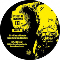Psycho Dynamik 03 - PsychoDynamik records