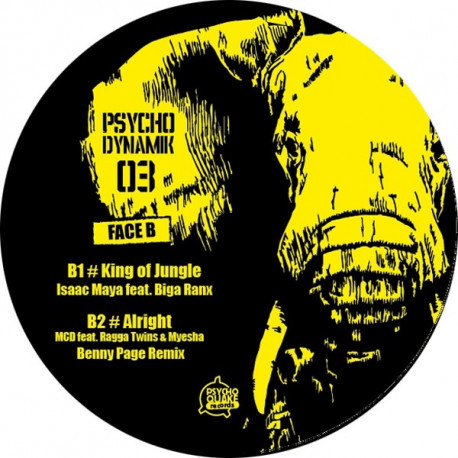 Psycho Dynamik 03 - PsychoDynamik records