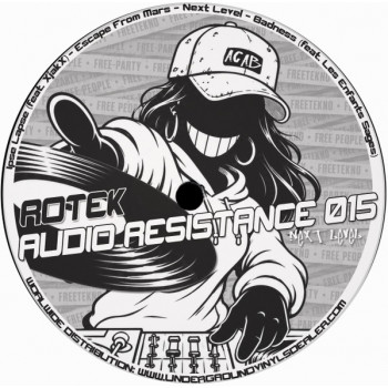 Audio Resistance 015