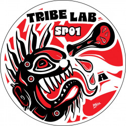 Tribe Lab. Special 01, référence TRIBE LAB. SP01, vinyle Pumping Tribe.