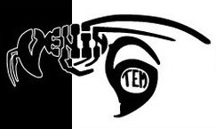 Venin 6tem